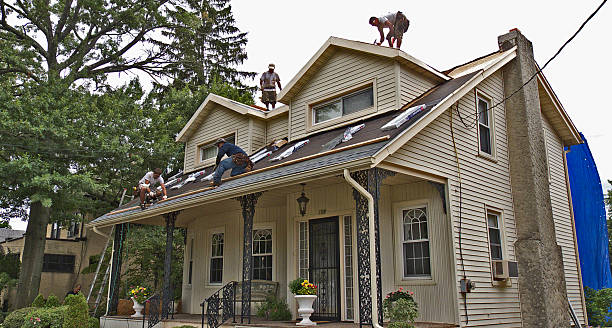 Best Metal Roofing Contractor  in California, MO